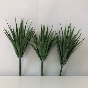 Green grass succulents